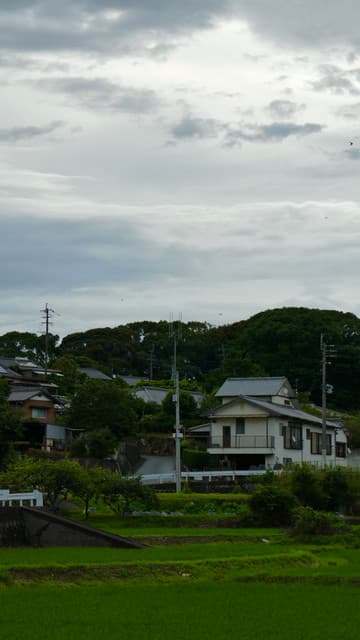 P1020505