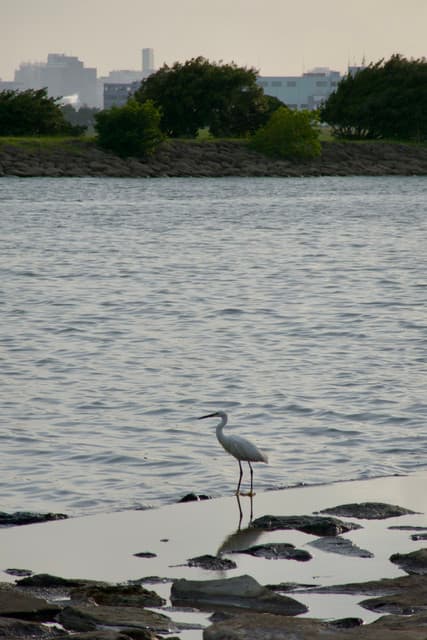 IMG-5772